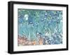 Irises, Saint-Remy, c.1889-Vincent van Gogh-Framed Art Print