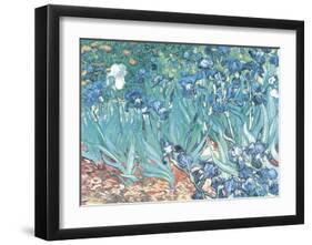 Irises, Saint-Remy, c.1889-Vincent van Gogh-Framed Art Print