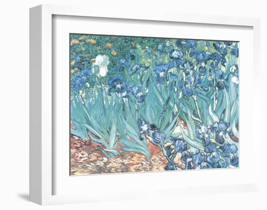 Irises, Saint-Remy, c.1889-Vincent van Gogh-Framed Art Print