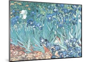 Irises, Saint-Remy, c.1889-Vincent van Gogh-Mounted Art Print