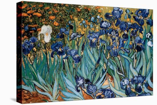 Irises, Saint-Remy, c.1889-Vincent van Gogh-Stretched Canvas