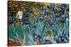 Irises, Saint-Remy, c.1889-Vincent van Gogh-Stretched Canvas