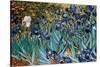 Irises, Saint-Remy, c.1889-Vincent van Gogh-Stretched Canvas