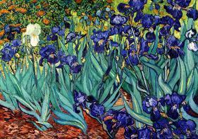 Irises, Saint-Remy, c.1889-Vincent van Gogh-Framed Art Print