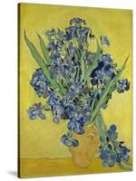 Irises. Saint-Rémy-de-Provence, May 1890-Vincent van Gogh-Stretched Canvas