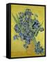 Irises. Saint-Rémy-de-Provence, May 1890-Vincent van Gogh-Framed Stretched Canvas