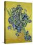 Irises. Saint-Rémy-de-Provence, May 1890-Vincent van Gogh-Stretched Canvas