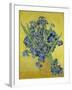 Irises. Saint-Rémy-de-Provence, May 1890-Vincent van Gogh-Framed Giclee Print