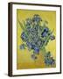 Irises. Saint-Rémy-de-Provence, May 1890-Vincent van Gogh-Framed Giclee Print