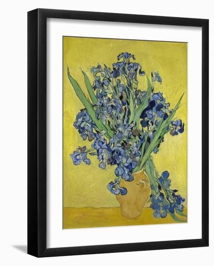 Irises. Saint-Rémy-de-Provence, May 1890-Vincent van Gogh-Framed Giclee Print