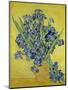 Irises. Saint-Rémy-de-Provence, May 1890-Vincent van Gogh-Mounted Giclee Print