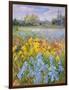 Irises, Willow and Fir Tree, 1993-Timothy Easton-Framed Giclee Print