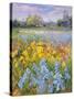 Irises, Willow and Fir Tree, 1993-Timothy Easton-Stretched Canvas