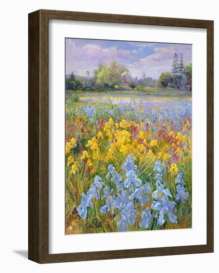 Irises, Willow and Fir Tree, 1993-Timothy Easton-Framed Giclee Print