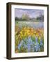 Irises, Willow and Fir Tree, 1993-Timothy Easton-Framed Giclee Print