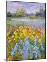 Irises, Willow and Fir Tree, 1993-Timothy Easton-Mounted Giclee Print