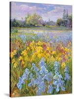 Irises, Willow and Fir Tree, 1993-Timothy Easton-Stretched Canvas