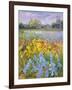 Irises, Willow and Fir Tree, 1993-Timothy Easton-Framed Giclee Print