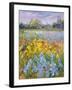 Irises, Willow and Fir Tree, 1993-Timothy Easton-Framed Giclee Print