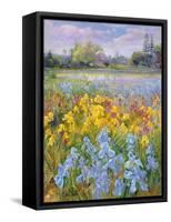 Irises, Willow and Fir Tree, 1993-Timothy Easton-Framed Stretched Canvas
