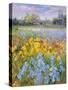 Irises, Willow and Fir Tree, 1993-Timothy Easton-Stretched Canvas