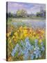 Irises, Willow and Fir Tree, 1993-Timothy Easton-Stretched Canvas