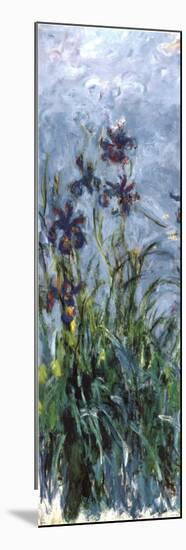 Irises-Claude Monet-Mounted Poster