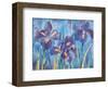 Irises-Lisa V^ Keaney-Framed Art Print