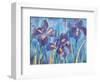 Irises-Lisa V^ Keaney-Framed Art Print