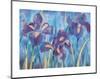 Irises-Lisa V^ Keaney-Mounted Art Print