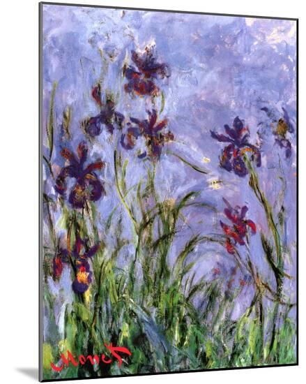 Irises-Claude Monet-Mounted Print
