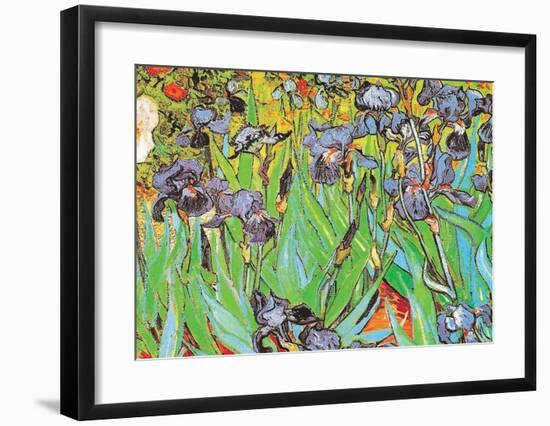 Irises-Vincent van Gogh-Framed Art Print