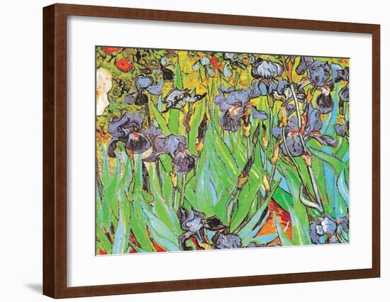 Irises-Vincent van Gogh-Framed Art Print