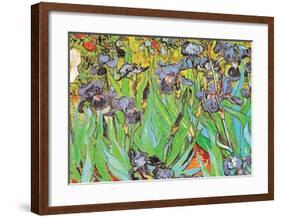 Irises-Vincent van Gogh-Framed Art Print