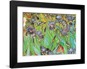 Irises-Vincent van Gogh-Framed Art Print