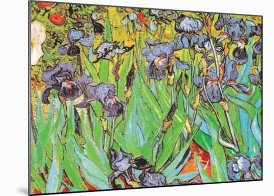 Irises-Vincent van Gogh-Mounted Art Print