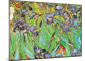 Irises-Vincent van Gogh-Mounted Art Print