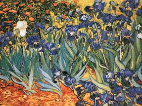 Irises-Vincent van Gogh-Framed Textured Art