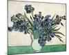 Irises-Vincent van Gogh-Mounted Art Print