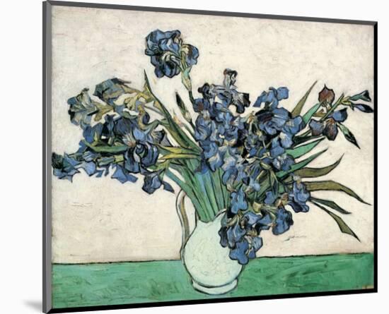 Irises-Vincent van Gogh-Mounted Giclee Print