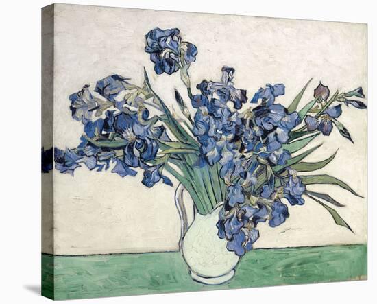 Irises-Vincent van Gogh-Stretched Canvas