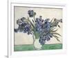 Irises-Vincent Van Gogh-Framed Giclee Print