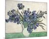 Irises-Vincent Van Gogh-Mounted Giclee Print