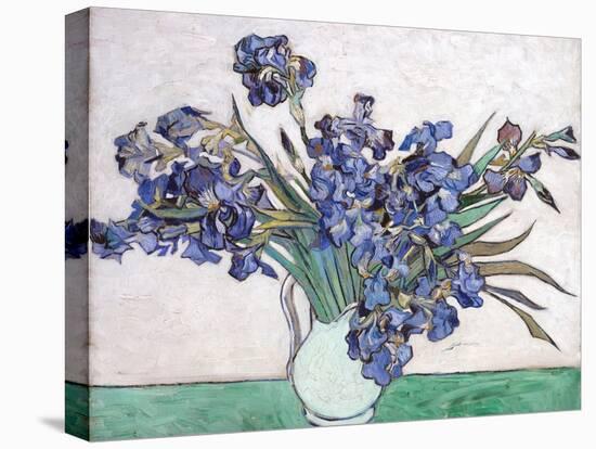 Irises-Vincent van Gogh-Stretched Canvas