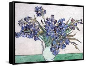 Irises-Vincent van Gogh-Framed Stretched Canvas