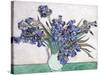 Irises-Vincent van Gogh-Stretched Canvas