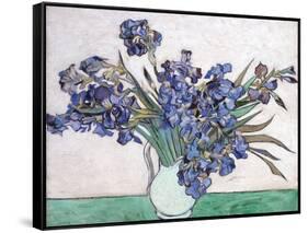 Irises-Vincent van Gogh-Framed Stretched Canvas