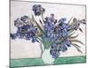 Irises-Vincent van Gogh-Mounted Giclee Print
