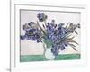 Irises-Vincent van Gogh-Framed Giclee Print