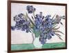 Irises-Vincent van Gogh-Framed Giclee Print